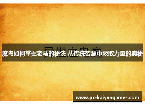 魔鸟如何掌握老马的秘诀 从传统智慧中汲取力量的奥秘